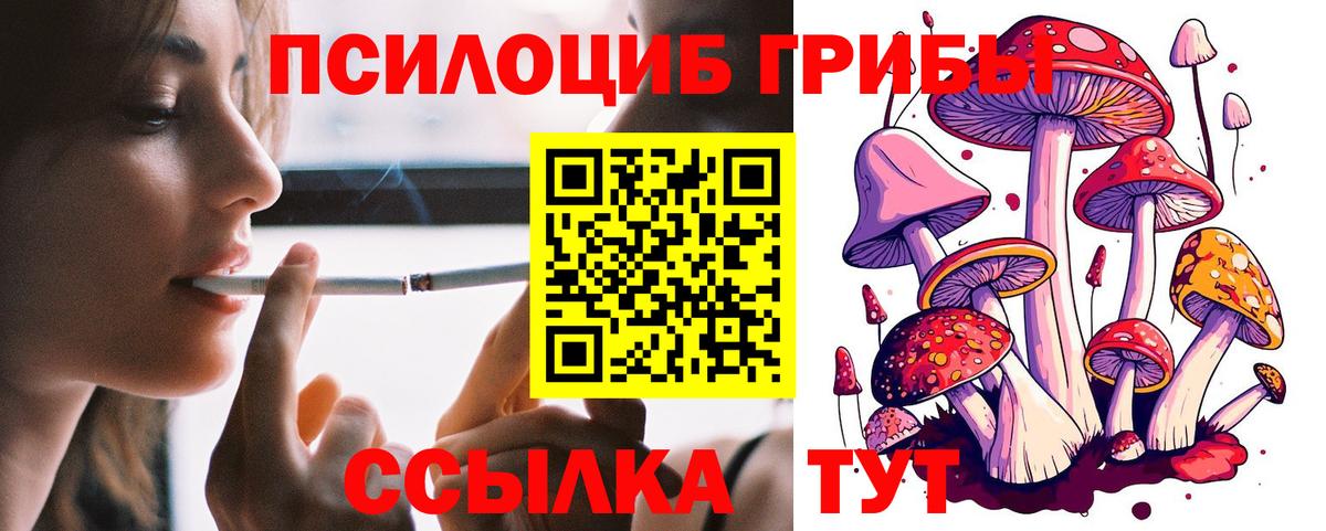 Галлюциногенные грибы Psilocybine cubensis Псков