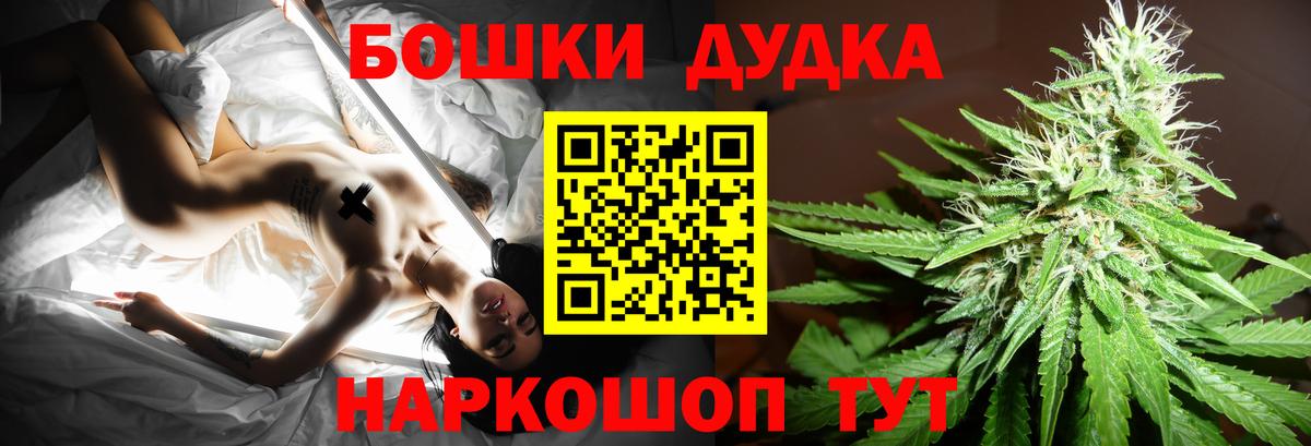 Бошки Шишки планчик Псков